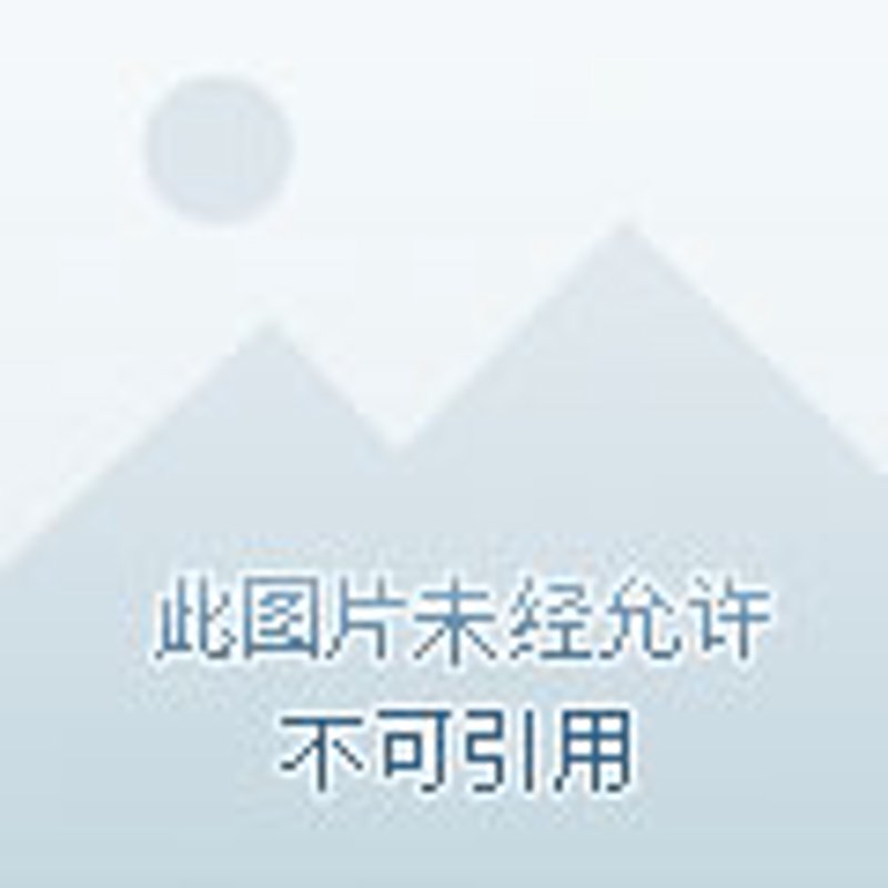 从涂鸦到第一份插画稿：我的绘画启蒙之旅